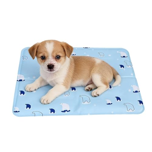 Tapis Rafraîchissant pour Chien Résistant Haute Densité pour Panier et Maison - 2