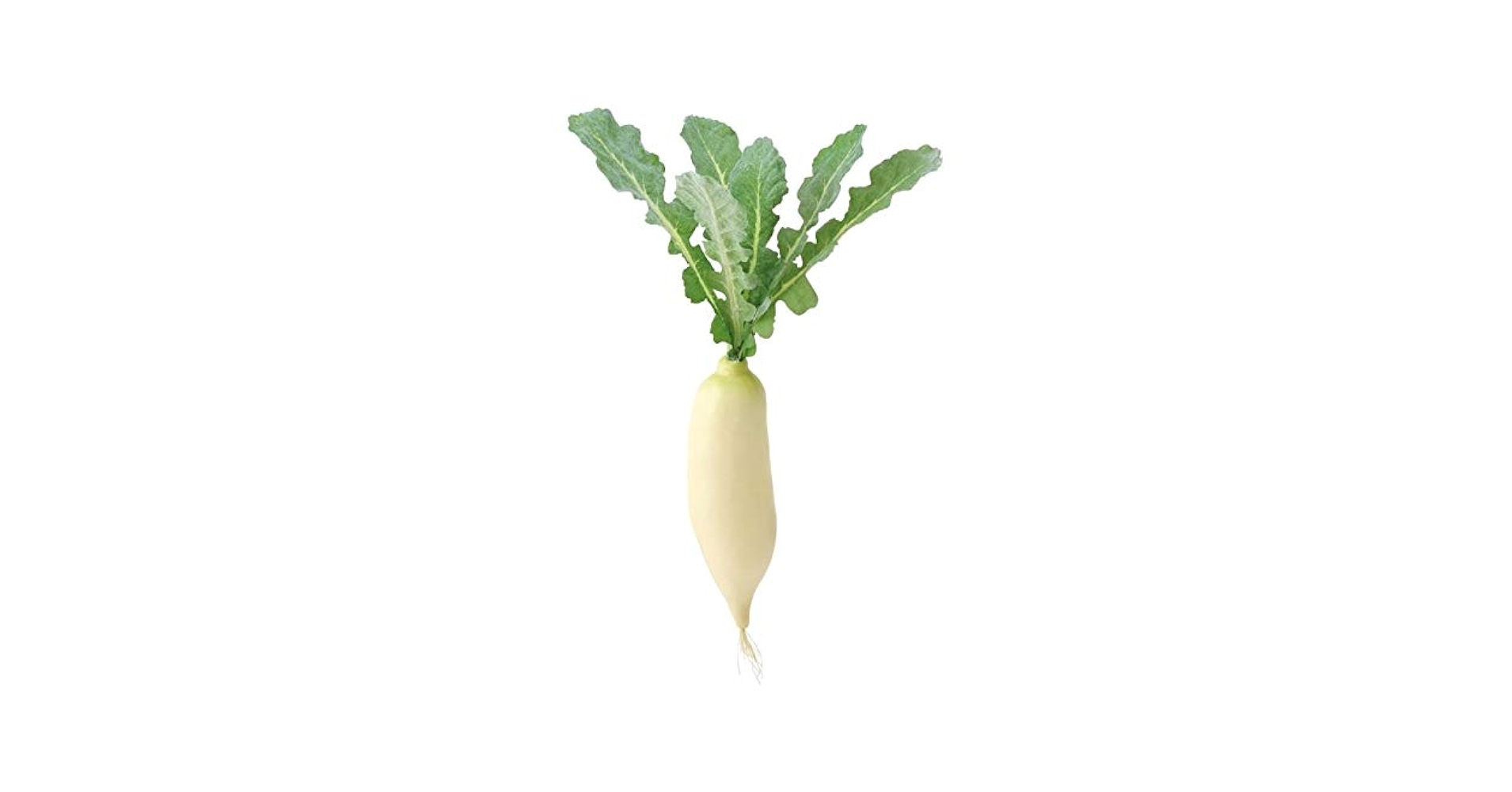 大根のえ 大根のえ 大根｜みなとの野菜大辞典