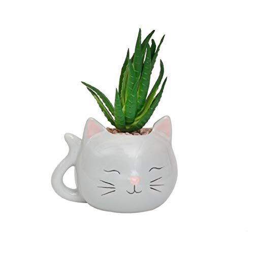 Chumbak Ceramic Planter, Grey, Standard, 1 Piece (B07JBRSLHK) Amazon Price History, Amazon Price Tracker
