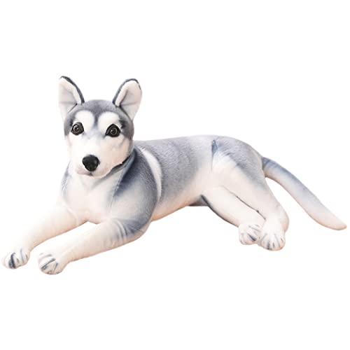 ELAINREN VxAnXL[ {̌ ʂ AXJ }~[g 22.4C` AȂʂ nXL[ q l` NX}X/Ӎ/apMtg (O[)