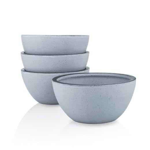 Stone Lain Stoneware Dish Set, 4 Bowls, Tina - Blue and Gray
