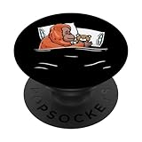 Photo Gallery orangutan addormentato con animali di peluche amante delle scimmie popsockets popgrip intercambiabile Photo Gallery orangutan addormentato con animali di peluche amante delle scimmie popsockets popgrip intercambiabile