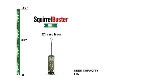 Squirrel Buster 1055-V01 Mini Squirrel-Proof Bird Feeder W/4 Metal Perches thumb #1