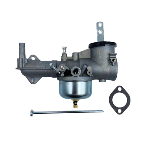 Carburateur pour BS 491590 390811 392152 de tondeuse