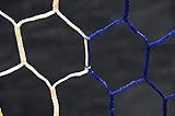 Netsportique