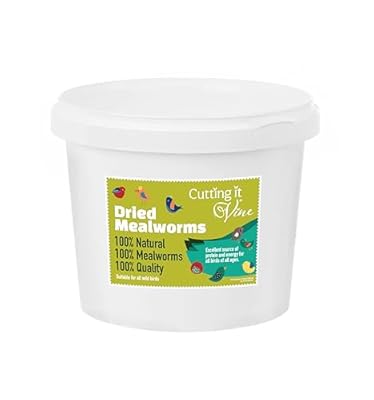 Cutting it Vine Meal Worms (5L Tub) - Dried Mealworms for Birds High Protein Bird Food for Wild Birds in Stay Fresh, Easy Tubs