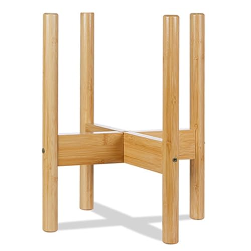 Wsikafxn ~̓fBXvCX^h ؐt[|bgX^h AؐX^h z[fR[V K[fjOpiAS