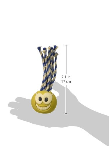 Bola Chuckit Fanatic Ball Tamanho Médio para Cães Chuckit para Cães