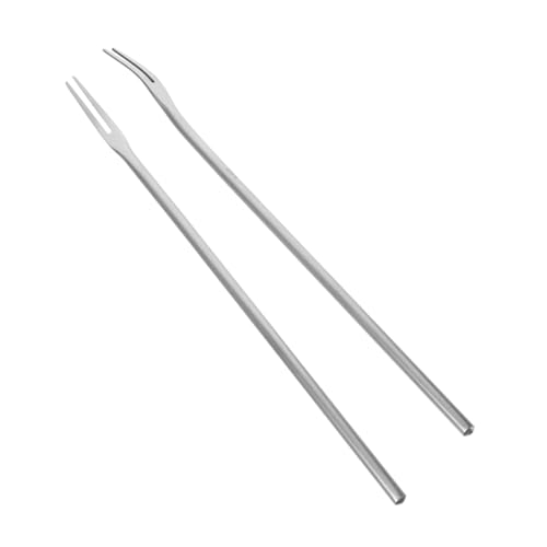 Alipis 2 pezzi Forchettine per Frutta in Acciaio con Lungo Forchette da Dessert Due Denti Pratiche per Feste Casa Bar e Banqueting