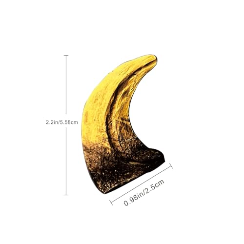 Image of Velociraptor Dinosaur Life Size Claw Fossil Replica