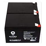 SPS Brand 12V 12Ah Replacement Battery for Rietti GTX Electric Bike Scooter (2 Pack)