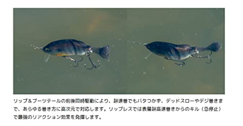 イマカツ(Imakatsu) ギルロイドミニー 3DR #868 3Dオスギル 4枚目