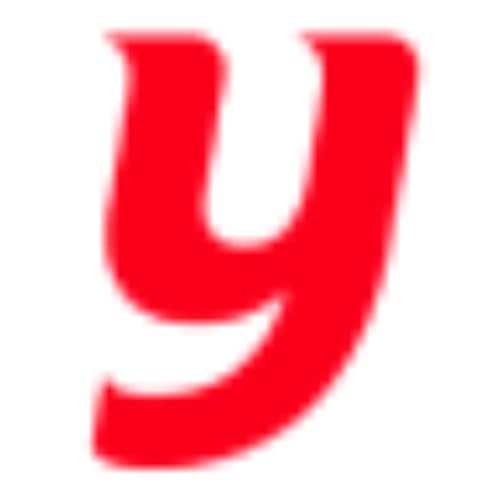 『有道翻译体验』のカバーアート