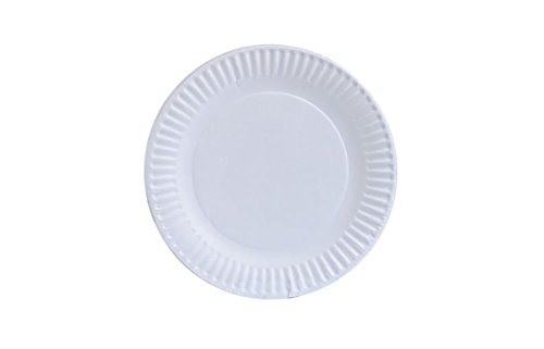 🔥 Crazy Deals Perfect Stix Paper Plate 6" Paper Plates White, Pack of 300 (Packaging May Vary)