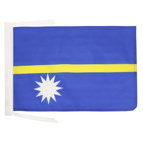 AZ FLAG - Drapeau Nauru - 45x30 cm - Pavillon Nauruan 100% Polyester Avec Deux Cordelettes - 20g