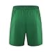 Baisile Reversible Basketball Shorts Men Mesh Gym Sports Workout Training Casual Fashion Short with Pockets and Drawstring-Green-M