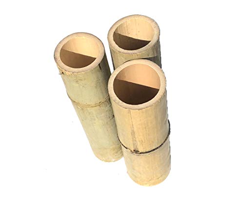 Bambus als Pflanzen- und Setzlingen Schutz mit 25cm und einem Durch. von 6-7,5cm