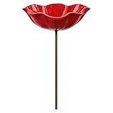 Bol d'alimentation pour Bains d'oiseaux, Amélioration Artistique De La Cour, Diamètre De L...