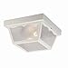 Acclaim P4902WH Durex Collection 2-Light Ceiling Mount Outdoor Light Fixture, Gloss White