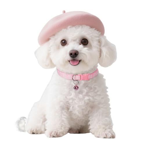 A[eBXg hbO RX`[ 킢  x[X ߉\ ̎ xt nEB RXv ybg RX`[ ANZT[ ^Lp