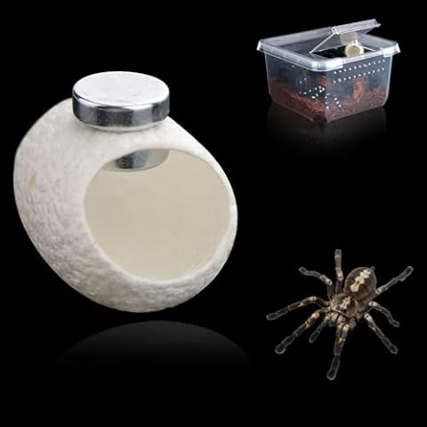 DQITJ 12 Pcs Silk Cocoons with Magnets for Jumping Spider Silk Cocoon Spider Hide Jumping Spider Habitat Accessories (White) Cover