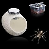 DQITJ 12 Pcs Silk Cocoons with Magnets for Jumping Spider Silk Cocoon Spider Hide Jumping Spider Habitat Accessories (White)