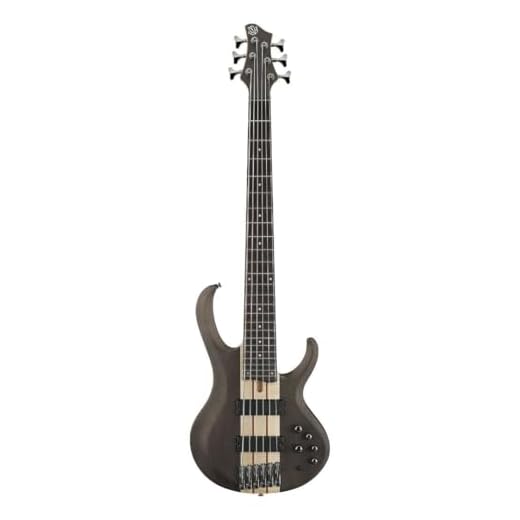 Ibanez BTB606 Standard 6-String Bass Guitar, Rosewood Fingerboard, Transparent Gray