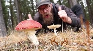 Page de couverture de Homesteading, Hot Sauce & the Bow Ban – Jakob from Choo-roo