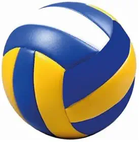 Zippy Toys, Bola de Vôlei Tamanho 5 Oficial Couro Sintético para Praia e Quadra