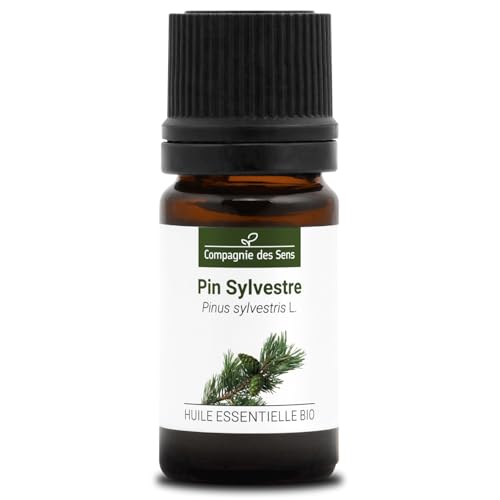 PIN SYLVESTRE (Pinus sylvestris) BIO - 5mL - Olio Essenziale di Qualità Premium - 100% Puro, Naturale, Garantito ChromaCert® - Chemiotipizzato & Integrale