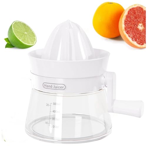 nhVgXW[T[}V - 蓮CVgXIWW[XiA|[^uX[t[cvXT[o(zCg)