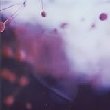 Victory Pool Records