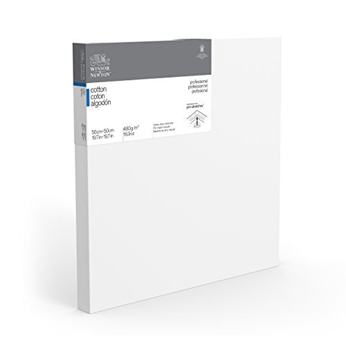 Toile coton Winsor & Newton 50x50 cm à bords larges pour peinture