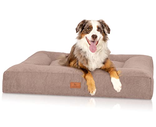 Knuffelwuff orthopädisches Hundebett aus kuscheligem Velours mit Handwebcharakter Sofia 100 x 80cm Beige - Abnehmbarer Bezug - waschbar - für große, mittelgroße und kleine Hunde