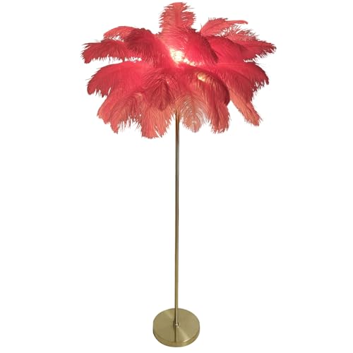 ZYGPH Lámpara de pie de Plumas de Avestruz Natural para salón, 160 cm de Altura, 3 temperaturas de Color, Bombillas LED Brillantes, Moderna y Elegante lámpara de pie Alta para Dormitorio.