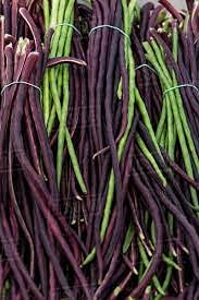 Aamish 25 pezzi di semi di fagioli lunghi rossi e verdi