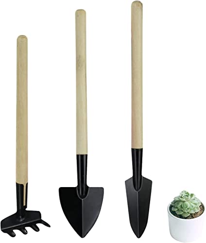 Juego de 3 herramientas de jardinería WishLotus mini miniatura 1