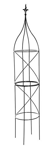 RUDDINGS WOOD 200cm high x 38cm diameter Large Heavy Duty Black Metal Flame Garden Obelisk - Extra Tall Rose Plant Support Climbing Frame Pyramid