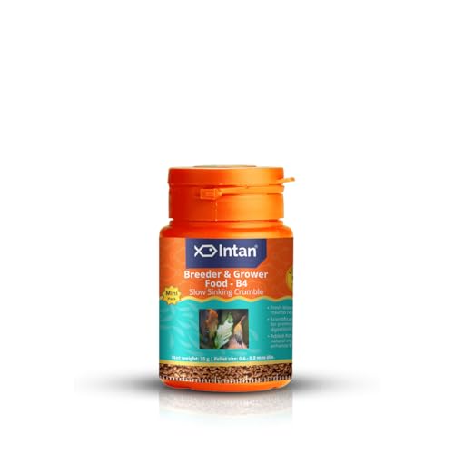 Image of Intan Breeder & Grower Food - B4 (0.6-0.8mm Slow Sinking Crumble) | 35gm - Highly Nutritious Ornamental Fish Food for A Range of Feed from Fry to Grow Out Stage for Viviparous & Oviparous Fish