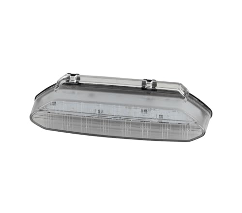 Feux arrière à LED anti-vibration pour remplacer l'optique cassée du Raptor 450R