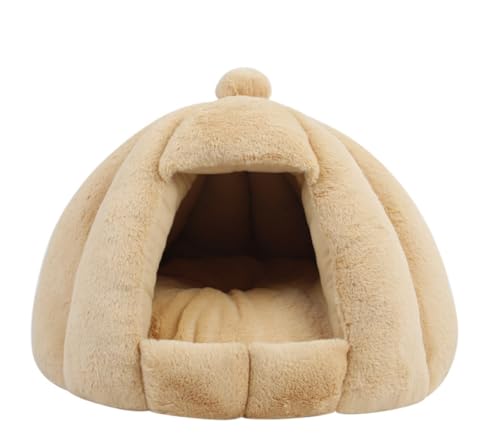 SefoemutLnEX ~p Lpxbh L h[^ xbh  p ybgpQ ۉh  _炩  ~ ^ Lbg lC p xe QNbVt (J[L,XL 60*50*20CM)