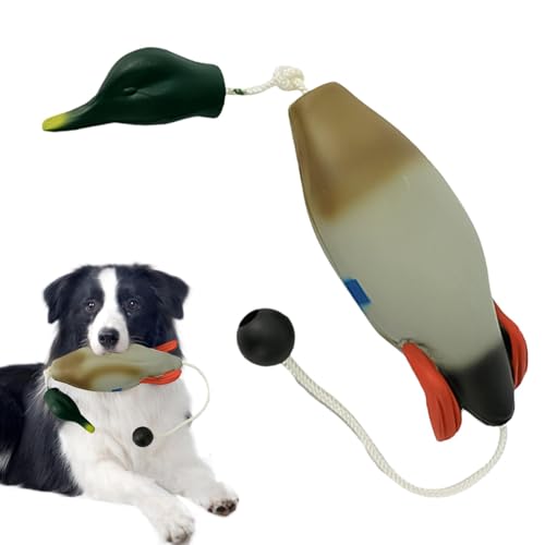 JINGAN Hunde-Stoßfänger zum Wasserholen, Enten-Stoßfänger-Spielzeug - Hunde-Retriever-Trainingsspielzeug | Jagdhundezubehör, Entenspielzeug für Hunde, Simulationstier in Form für Welpen