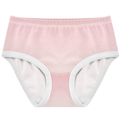 Joisal Toddler Girls Underwear 2t Cotton Panties for Girl Durable Undies Kids Briefs Ombre Pink Floral White Gradient