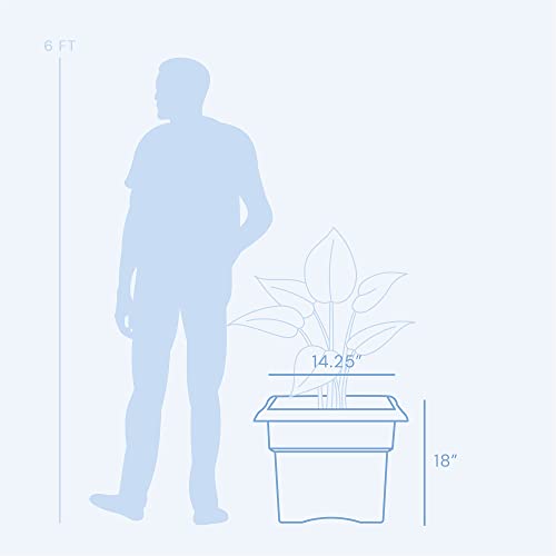 Bloem Fiskars 18 Inch Veranda 5 Gallon Box Planter, Black (57918), 18" #TOP3