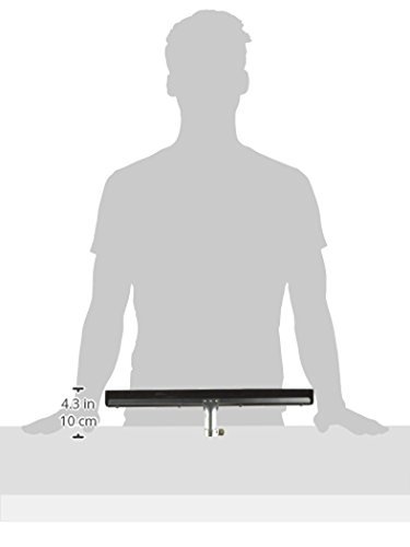 Ettore 61018 Wipe'n Dry Floor Squeegee, 18-Inch,Black