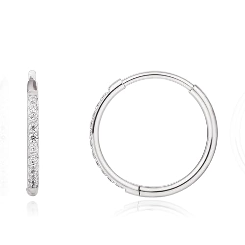 Limerencia Titanium Hoop Earrings for Women,G23 Implant Grade Pure Titanium Lightweight Hoop Earrings for Women Men Sensitive Ears