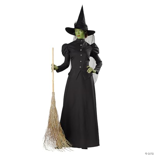 Seasonal Visions Plus Size Classic Deluxe Witch Costume