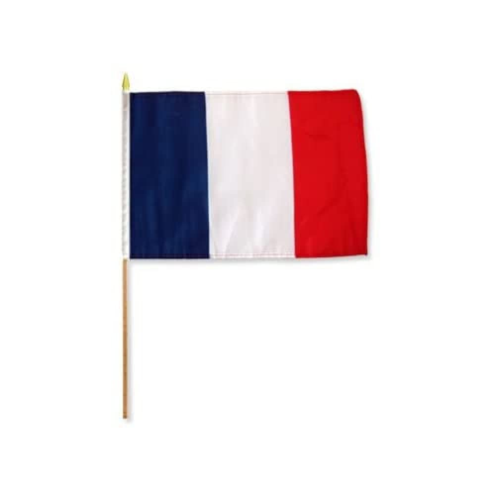AZ FLAG - Set of 10 France Hand Flag 12'' x 18'' with Wood Stick - 10 Small French Flags 100% Polyester 45 x 30 cm with 23'' Wooden Flagpole