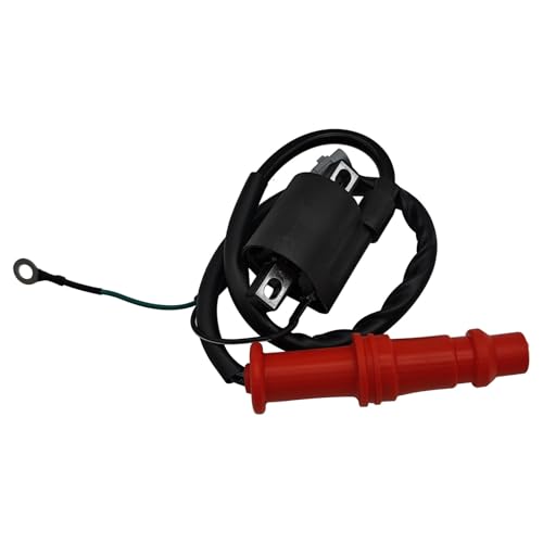 Bobina de encendido para solucionar problemas de arranque en tu J-guar 500 3