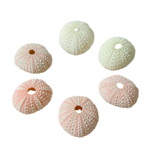 10 NAeNX`[Lx[X - rOt[|bgfR[VpɒJɍĂ܂ P~JsNEj 4-5cm